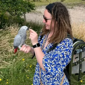 Beautiful African Grey Parrots for Sale | Order Today