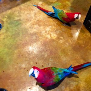 Buy Green-Winged Macaw | Friendly Exotic Birds