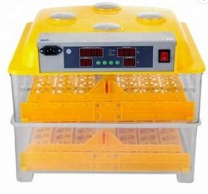 Egg Incubator for Sale | Daniel Maxbird